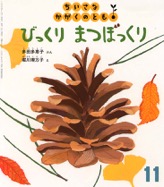 びっくり  まつぼっくり　2006