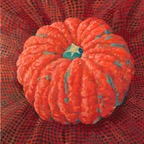 星かもしれない